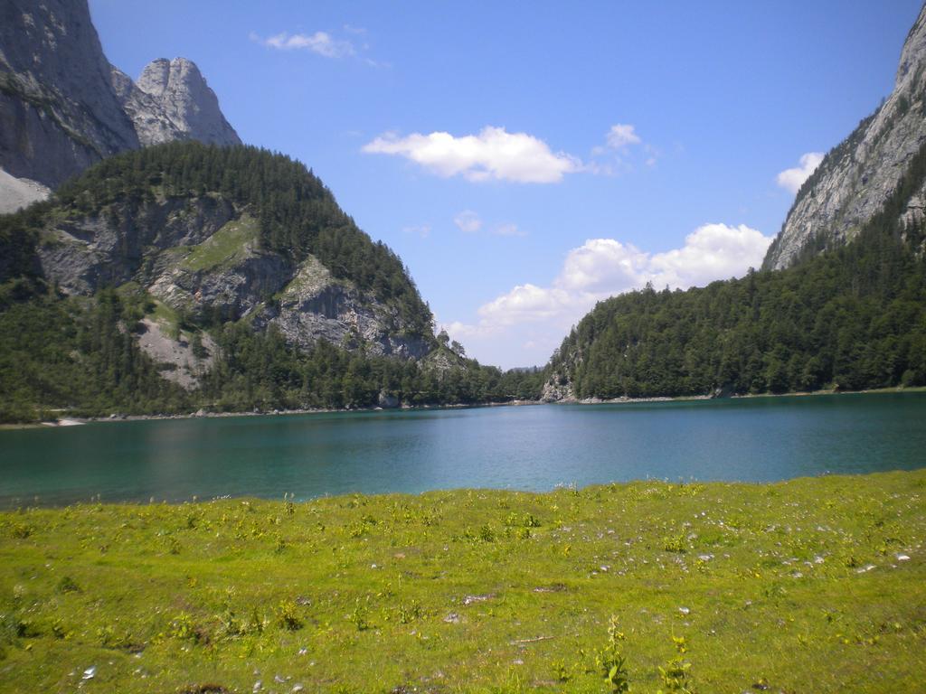 Privatpension Gosaukammblick Esterno foto