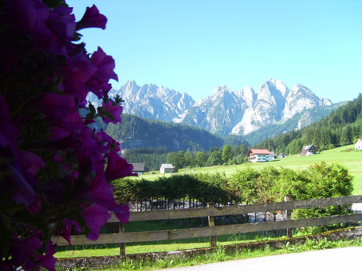 Privatpension Gosaukammblick Esterno foto